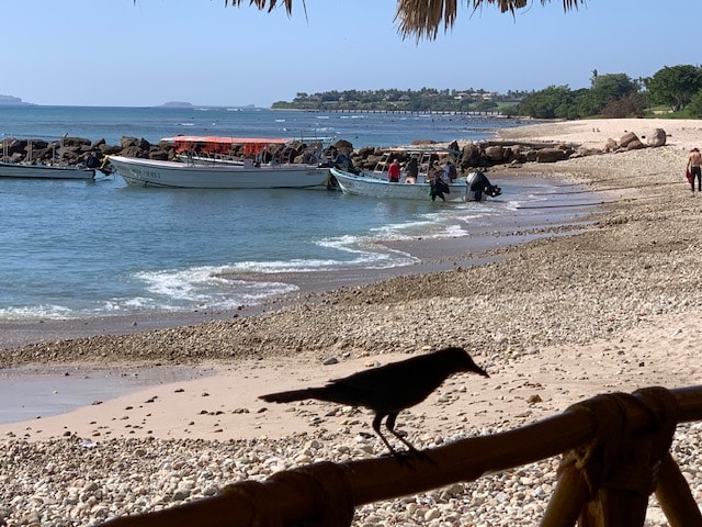 “Exploring Puerto Vallarta: What You Need to Know Before Visiting this Beautiful Hot Spot”